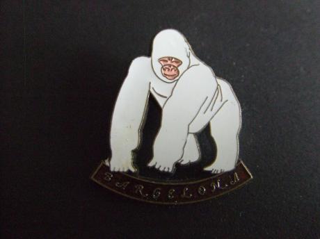 Dierentuin Barcelona gorilla wit